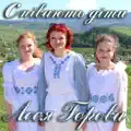 Україна це світло