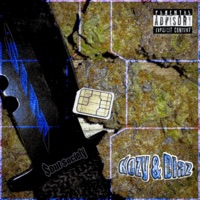 Sim$ - Single - $oul $ociety, kozyfaneto & Diaz DaMain