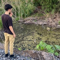 Honey - Single - Roxch