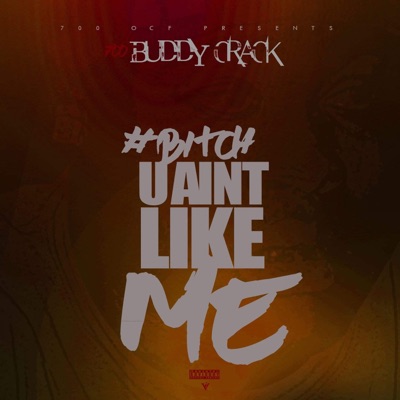Bitch You Ain Like Me - Single