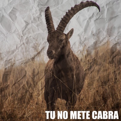 Tu no mete cabra - Single