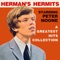 A Must to Avoid - Herman's Hermits lyrics