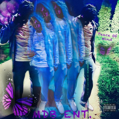 Peace of Mind - Single