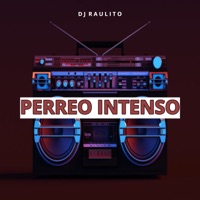Perreo Intenso - Single - Dj Raulito