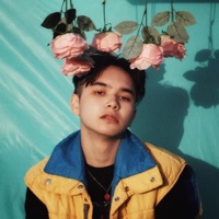 Pretty Pink Roses - Single - Sweeney