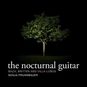 The Nocturnal Guitar