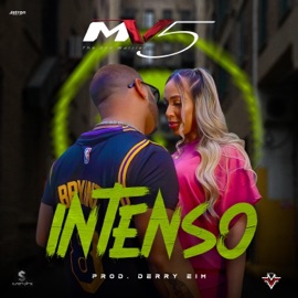intenso MV5