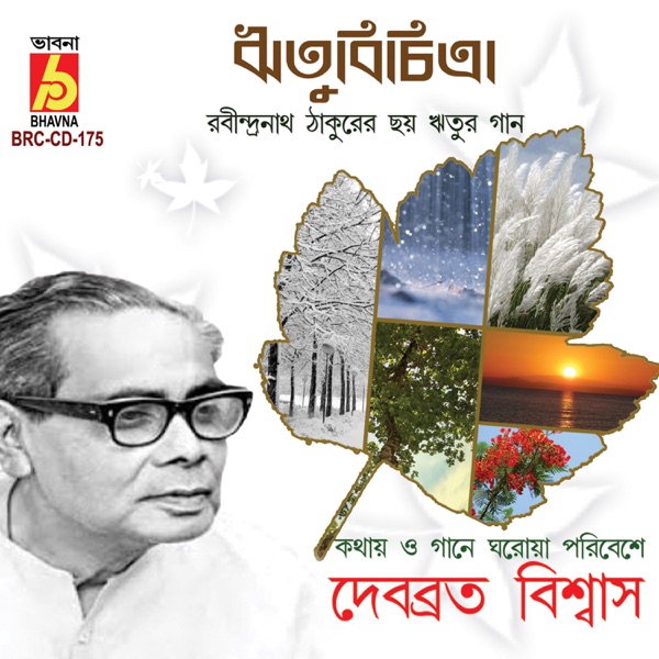 Ritubichitra