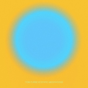 Ecstatic Meditations