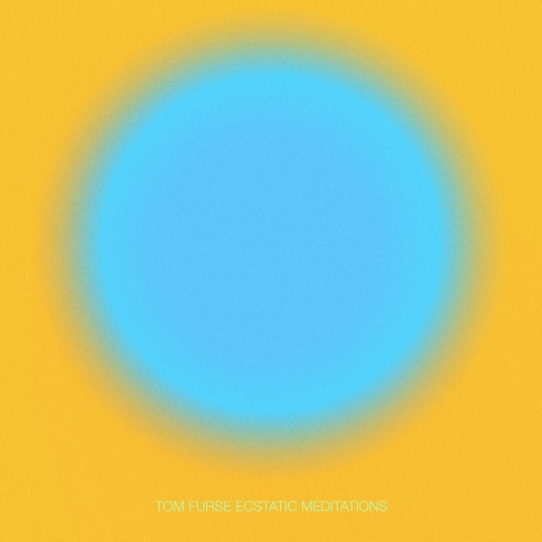Ecstatic Meditations