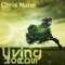 Been Thinking (feat. Omega Sparx) - Chris Nunn lyrics