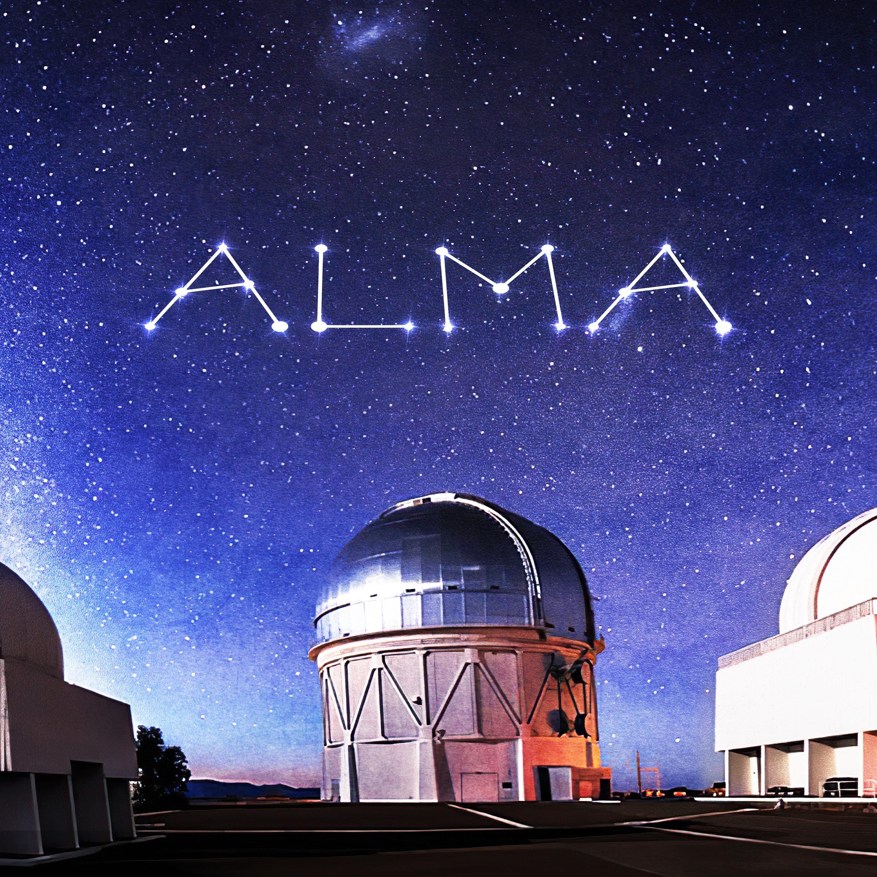 2. - AVANCE NUEVO PROGRAMA