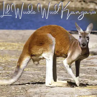 Kangaroo by Lil Woodie Wood song reviws