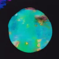 Gaia's Warning