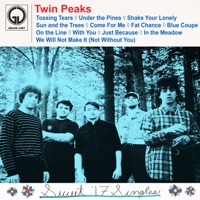 Twin Peaks - In the Meadow