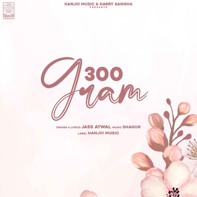 300 Gram - Single