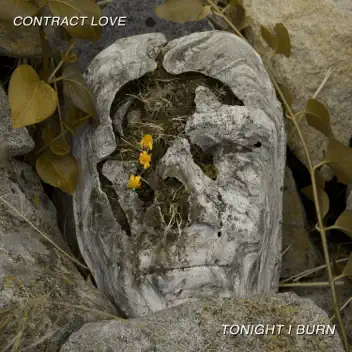 Tonight I Burn album cover