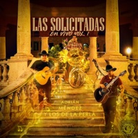 Las Solicitadas, Vol. 1 (En vivo) - Adrian Mendez y Los de la Perla