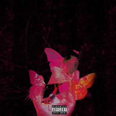 No Fiction - Single
