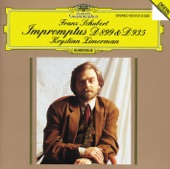 Schubert: Impromptus D. 899 & D. 935 artwork