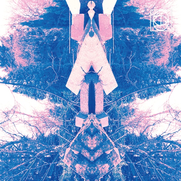 Metsä Va 003