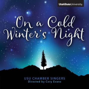 On a Cold Winter's Night