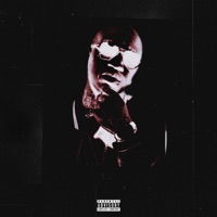 Brdman - Single - Matt Gantos