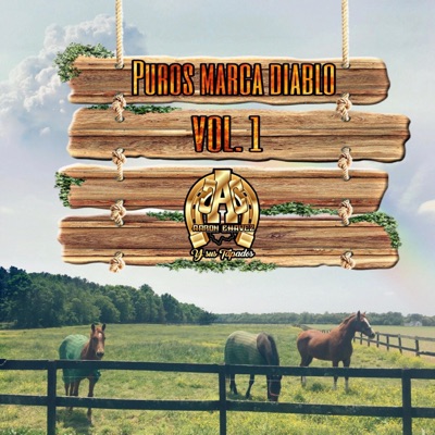 Puros Marca Diablo, Vol. 1