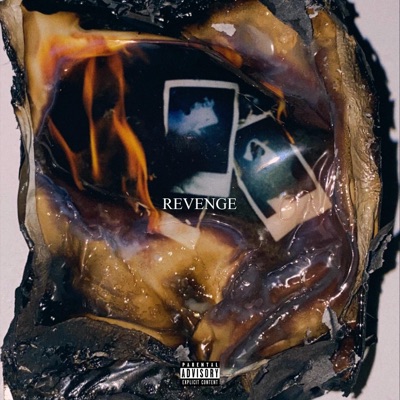 Revenge - Single