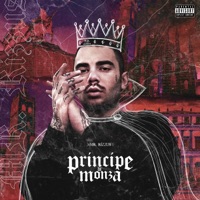 Principe di Monza - MR Rizzus