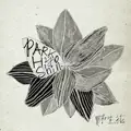 Wild Flower - Wild Flower