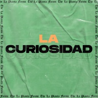 La Curiosidad - Single - The La Planta
