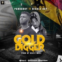 Gold Digger (feat. Nickle Kay) - Single - Panda Boii