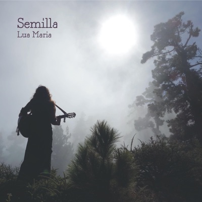 Semilla