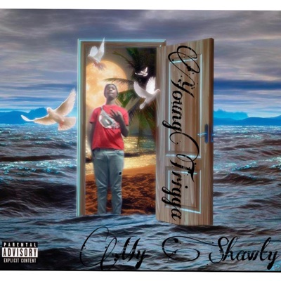 My Shawty (Remix) - Single