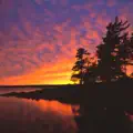 Dawn