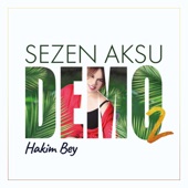 Hakim Bey (feat. Kardeş Türküler & Ara Dinkjian) artwork