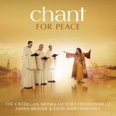Chant for Peace artwork