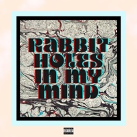 Rabbit Holes In My Mind - Single - Beedie & Billy Hoyle