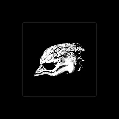 Listen to Legend Of The Seagullmen, watch music videos, read bio, see tour dates & more!