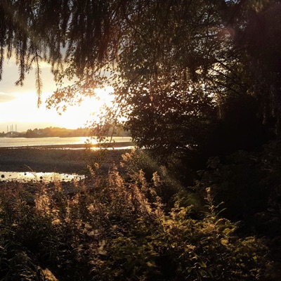 Stanley Okorie - Chop Life (From 'Professor Odogwu')