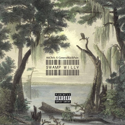 Swamp Willy (feat. Generalbackpain) - Single