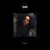 Alan Williams The Virus (feat. Saul Williams & Chippewa Travellers) [Alan Rosales Remix] [Mixed] Boiler Room: Bembona, Streaming From Isolation, Jun 23, 2020 (DJ Mix)