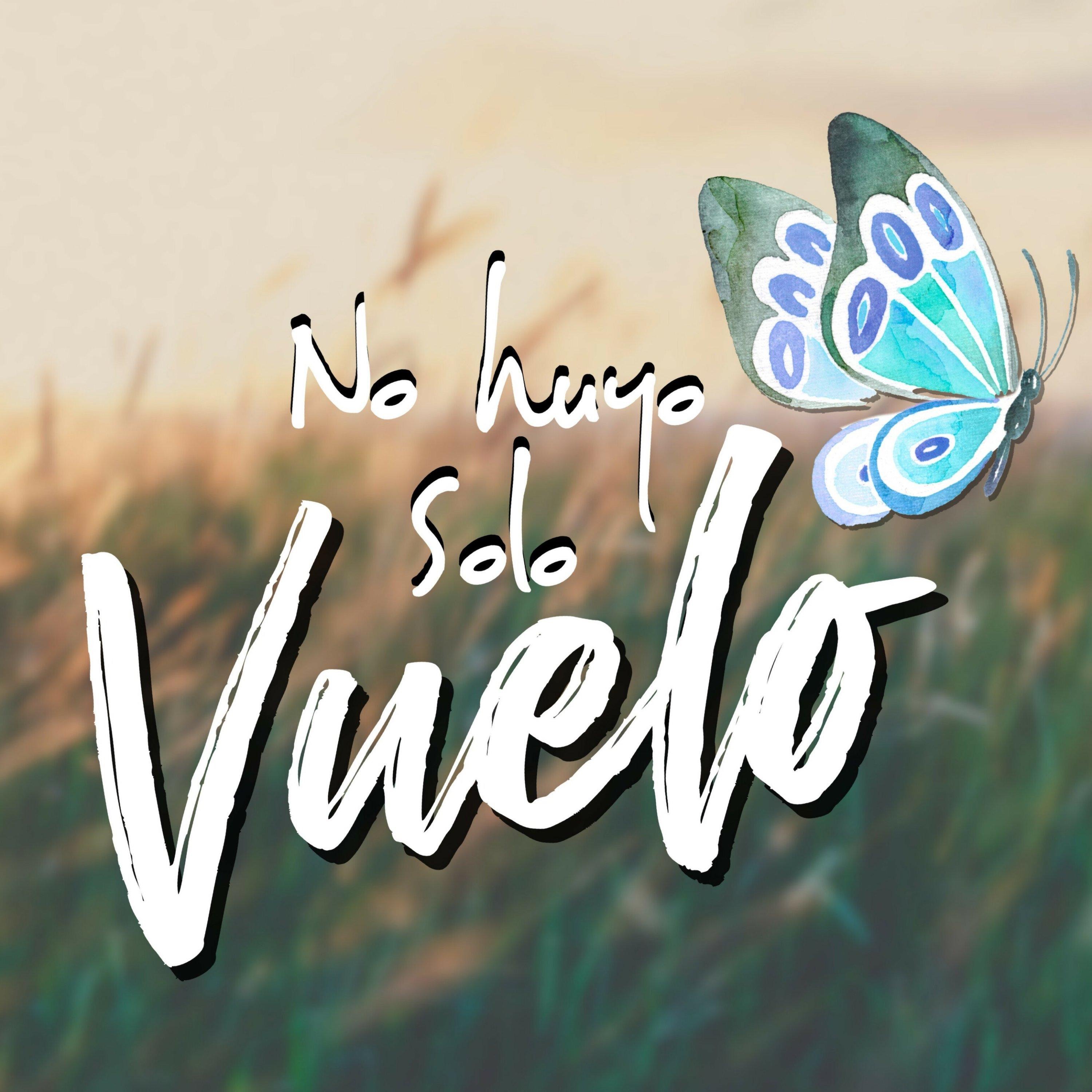 No Huyo Solo Vuelo