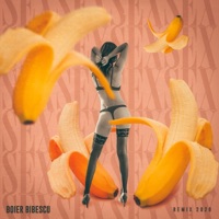 Sex (Remix) - Single - Boier Bibescu