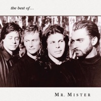 Mr. Mister Ablum Cover