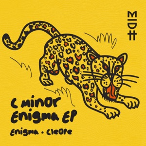 Enigma - Single