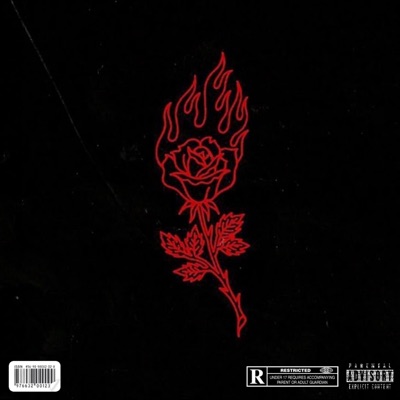 Damn... She Broke My Ego - Single