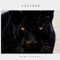Panther (feat. Cirmind) - Domy Pirelli lyrics