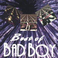 Bad Boy - Girl On the Run